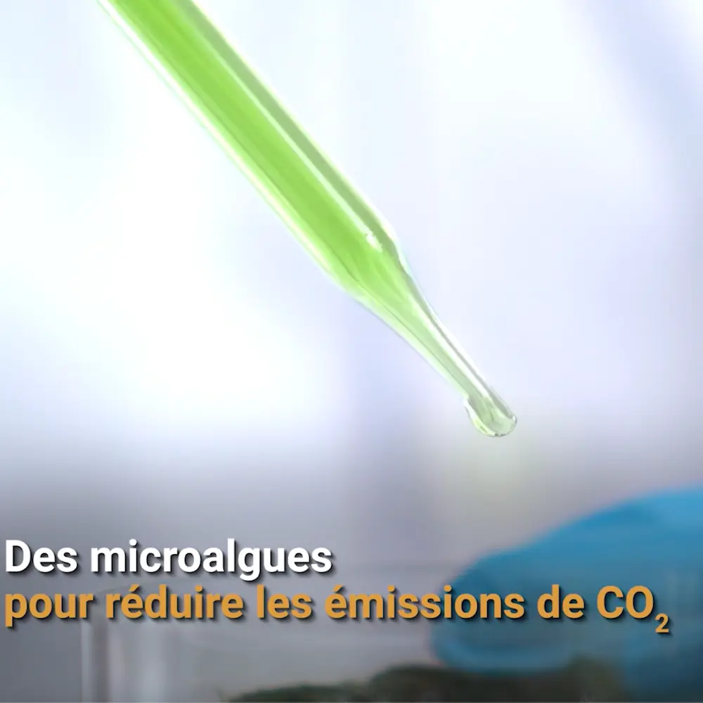 Vidéo corporate sur la Décarbonisation pour Ciments Du Maroc 
