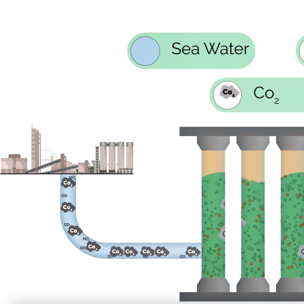 Vidéo motion design sur la Décarobinsation pour Ciment Du Maroc